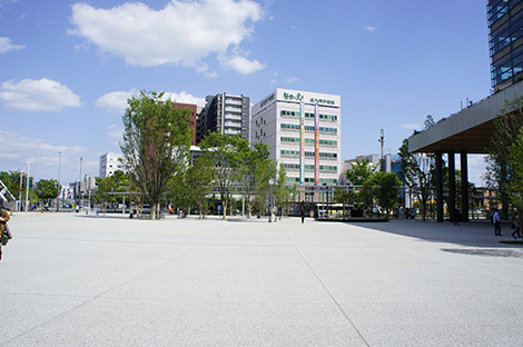 美しく高い透水性を持つパーミアストーン