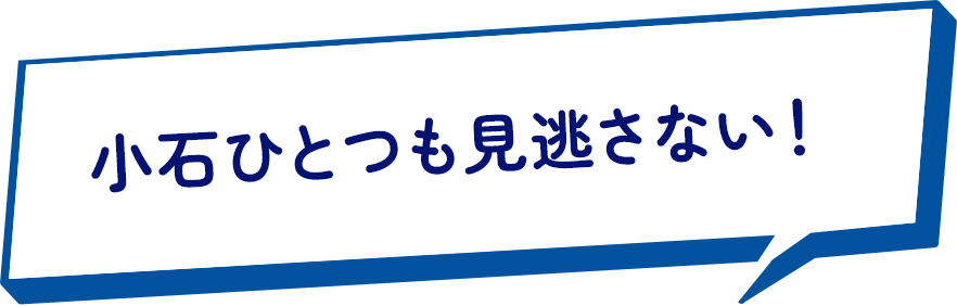 小石ひとつも見逃さない！